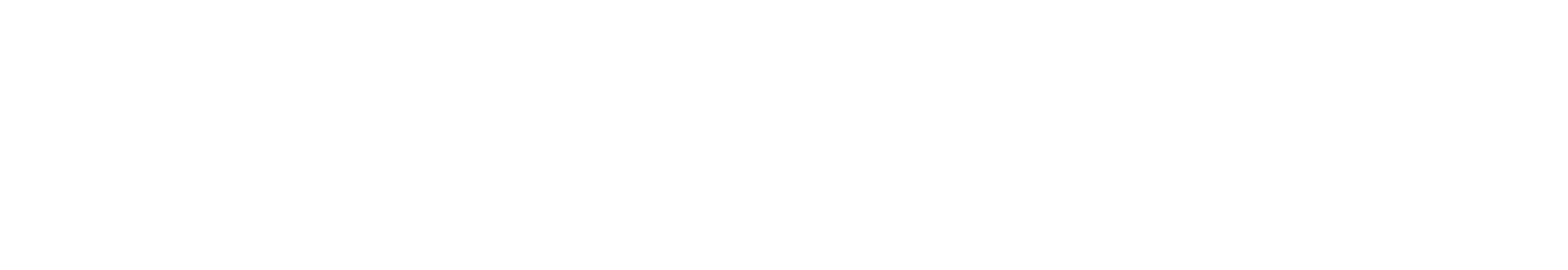 LOGO_2_white